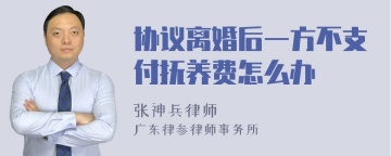 协议离婚后一方不支付抚养费怎么办