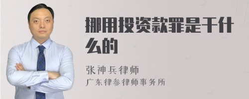 挪用投资款罪是干什么的