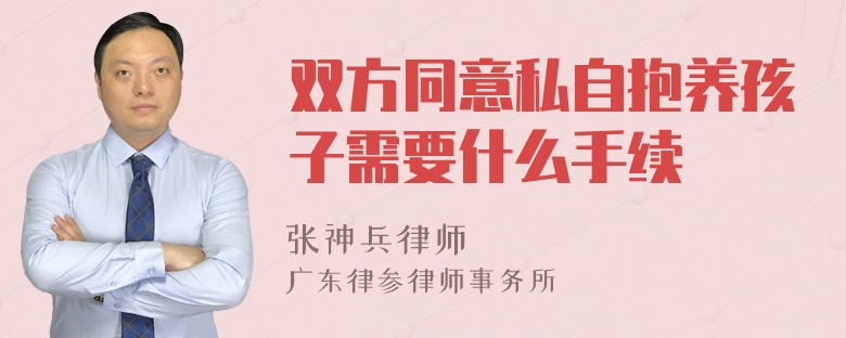 双方同意私自抱养孩子需要什么手续