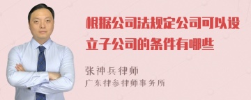 根据公司法规定公司可以设立子公司的条件有哪些