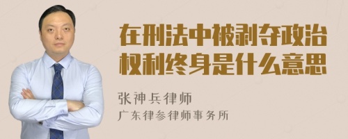 在刑法中被剥夺政治权利终身是什么意思