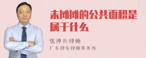 未摊摊的公共面积是属于什么