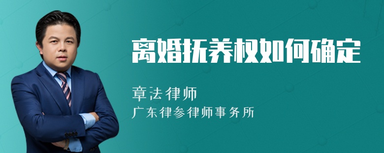 离婚抚养权如何确定