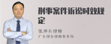 刑事案件诉讼时效规定