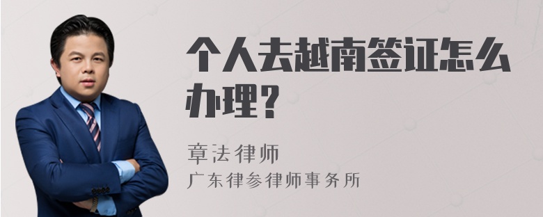 个人去越南签证怎么办理？