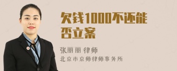 欠钱1000不还能否立案