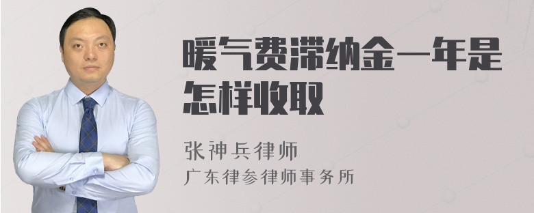 暖气费滞纳金一年是怎样收取