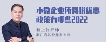 小微企业所得税优惠政策有哪些2022