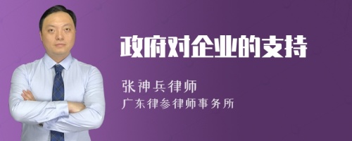 政府对企业的支持