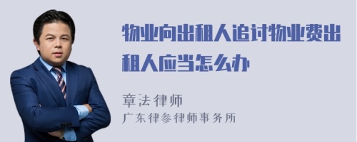 物业向出租人追讨物业费出租人应当怎么办