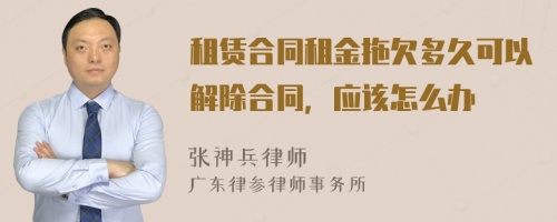 租赁合同租金拖欠多久可以解除合同，应该怎么办