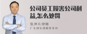 公司员工损害公司利益,怎么处罚