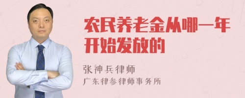 农民养老金从哪一年开始发放的