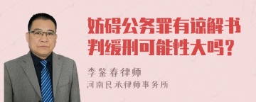 妨碍公务罪有谅解书判缓刑可能性大吗？