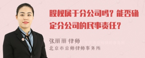 股权属于分公司吗？能否确定分公司的民事责任？