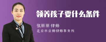 领养孩子要什么条件