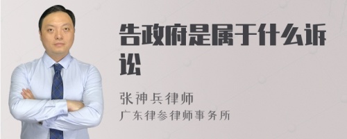 告政府是属于什么诉讼