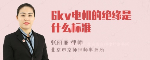 6kv电机的绝缘是什么标准