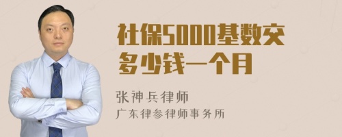 社保5000基数交多少钱一个月