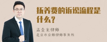 抚养费的诉讼流程是什么？