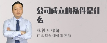 公司成立的条件是什么