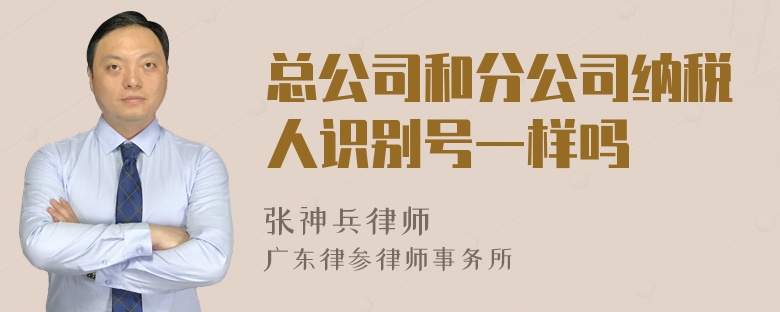 总公司和分公司纳税人识别号一样吗