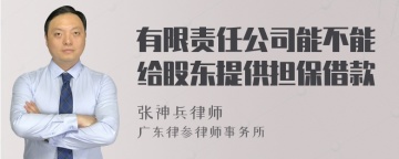 有限责任公司能不能给股东提供担保借款