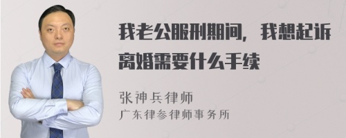 我老公服刑期间，我想起诉离婚需要什么手续