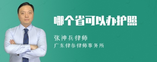 哪个省可以办护照