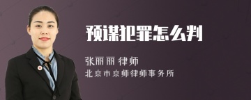 预谋犯罪怎么判