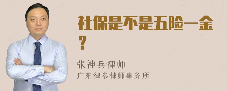 社保是不是五险一金？