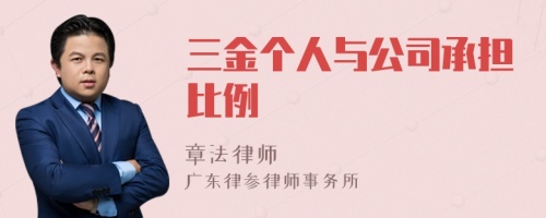 三金个人与公司承担比例