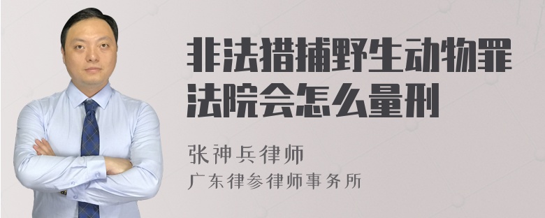 非法猎捕野生动物罪法院会怎么量刑