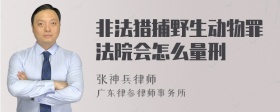 非法猎捕野生动物罪法院会怎么量刑