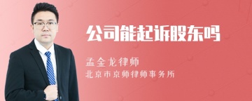 公司能起诉股东吗