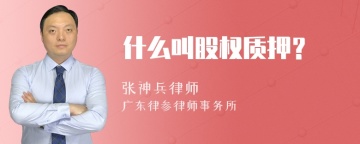 什么叫股权质押？