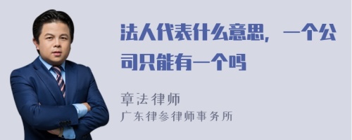 法人代表什么意思，一个公司只能有一个吗