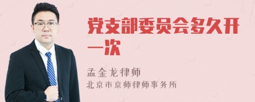 党支部委员会多久开一次