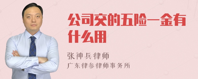 公司交的五险一金有什么用