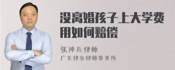 没离婚孩子上大学费用如何赔偿