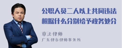 公职人员二人以上共同违法根据什么分别给予政务处分