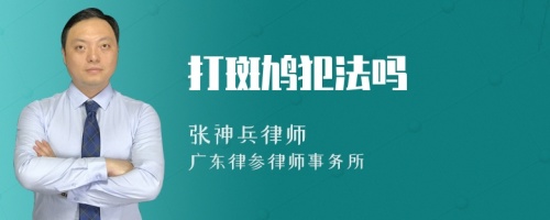 打斑鸠犯法吗