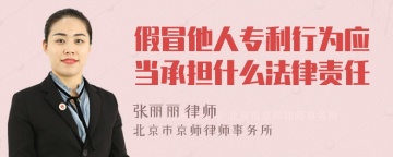 假冒他人专利行为应当承担什么法律责任