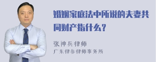 婚姻家庭法中所说的夫妻共同财产指什么？