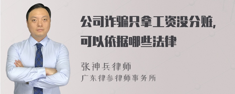 公司诈骗只拿工资没分赃，可以依据哪些法律