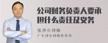 公司财务负责人要承担什么责任及义务