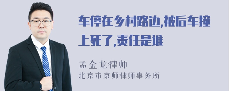 车停在乡村路边,被后车撞上死了,责任是谁