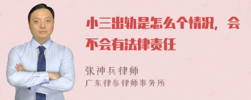 小三出轨是怎么个情况，会不会有法律责任