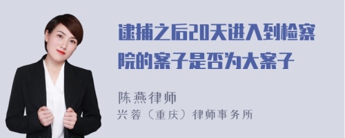 逮捕之后20天进入到检察院的案子是否为大案子