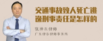 交通事故致人死亡逃逸刑事责任是怎样的